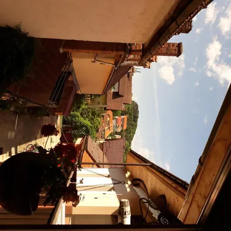 Casa Matei Guest house 3*
