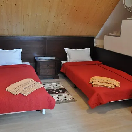 Guest house Casa Matei Brasov