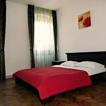 Guest house Casa Matei 3*